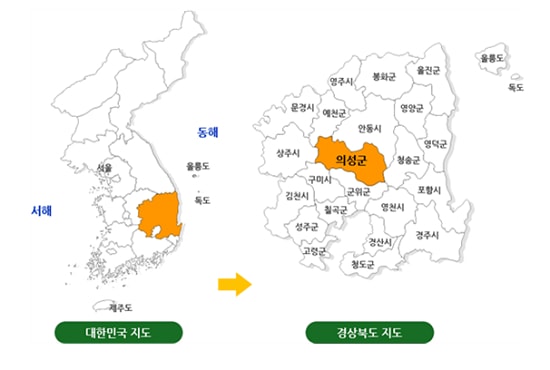 가장 큰 도인 경북에서도 한가운데 자리잡은 의성군은 전형적인 농촌지역이다.