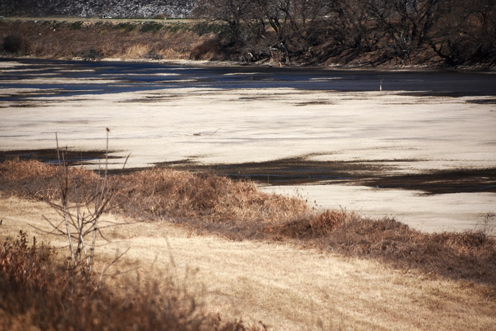 강물이 빠지자 되돌아온 회천의 모래톱. 거의 4대강 사업 이전의 모습으로 되돌아왔다.  