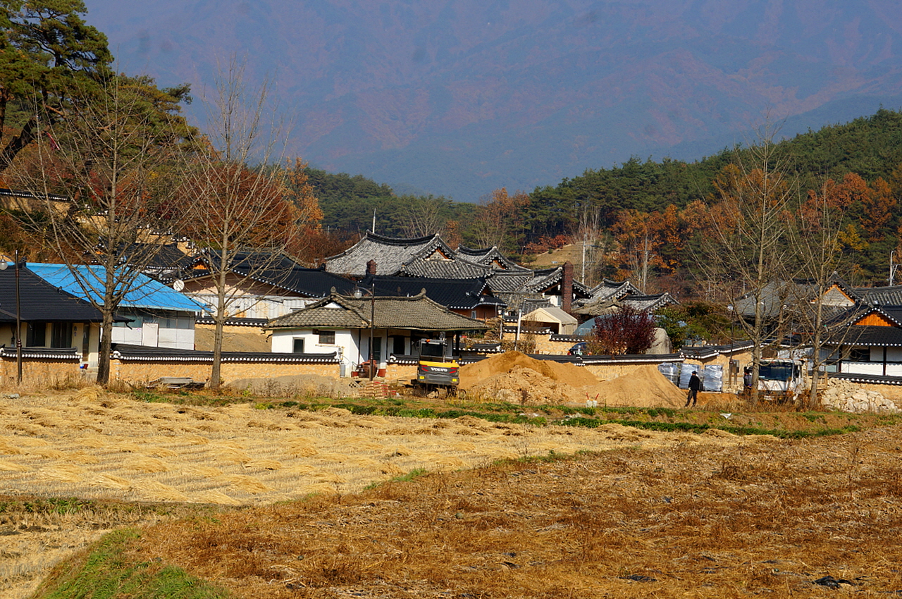 외거촌마을 정경  구양서원 가는 길에서 본 외거촌마을 정경이다. 붉은 벽돌 굴뚝이 높게 서있는 집이 수온당고택이다. 