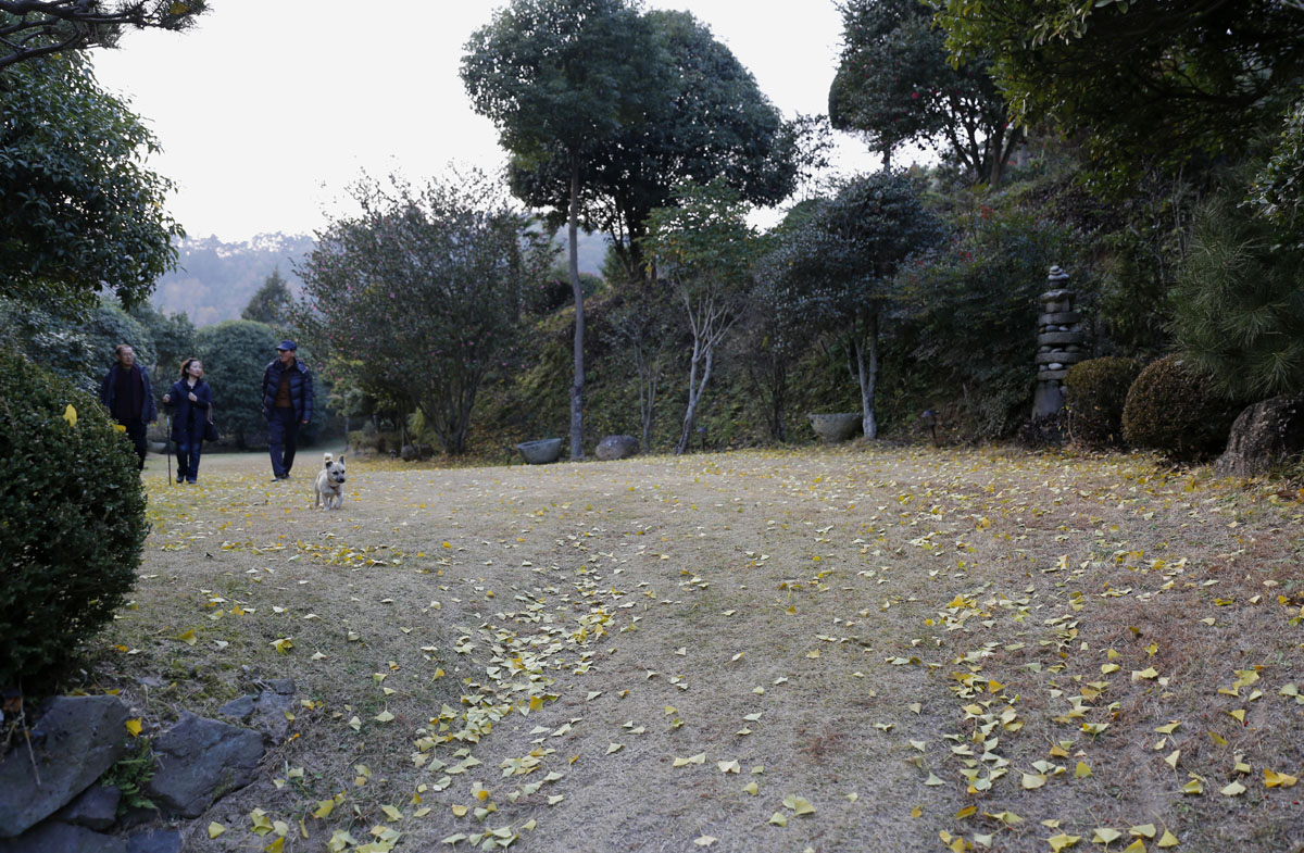 전라남도 민간정원으로 지정된 보성 초암정원의 잔디마당. 방문객이 잔디마당을 걷고 있다.