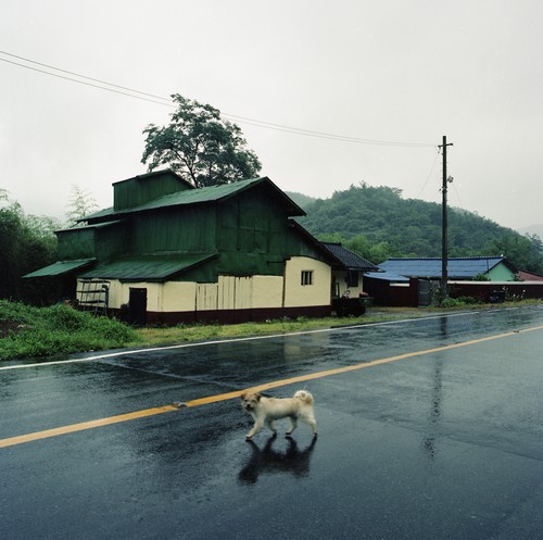 정미소 연작. 전남 보성. 2002