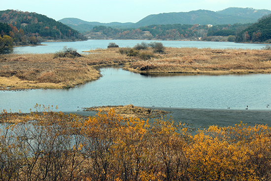 경상남도 창녕군 우포늪