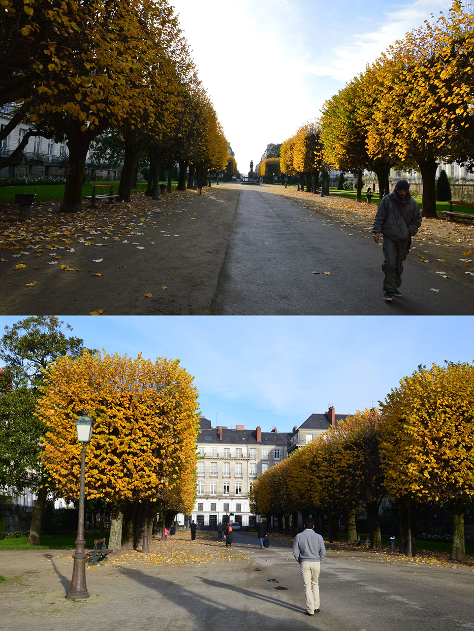 건물들로 둘러싸인 광장 안에 노랗게 물든 활엽수들이 도열해 있다. 