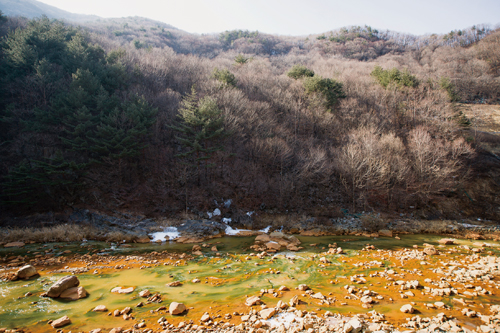  지장천 본류 하천