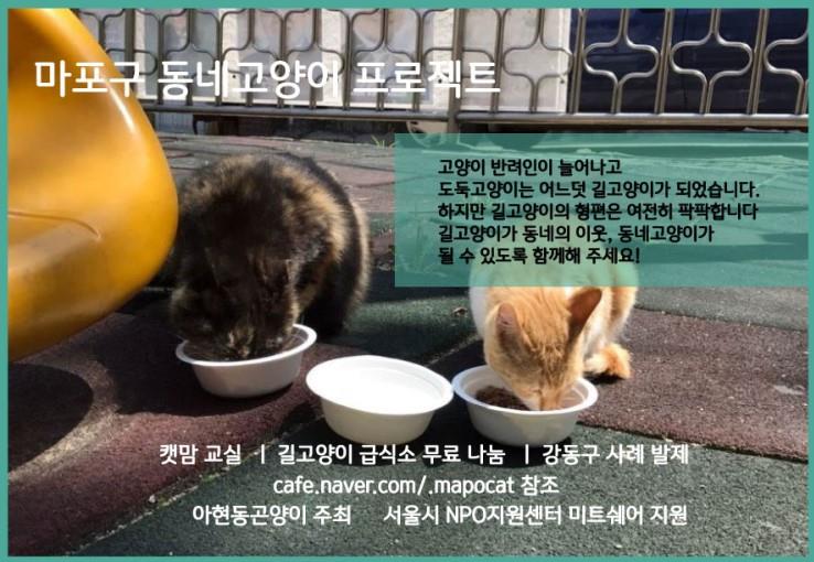 마포구동네고양이프로젝트 행사 웹자보 .