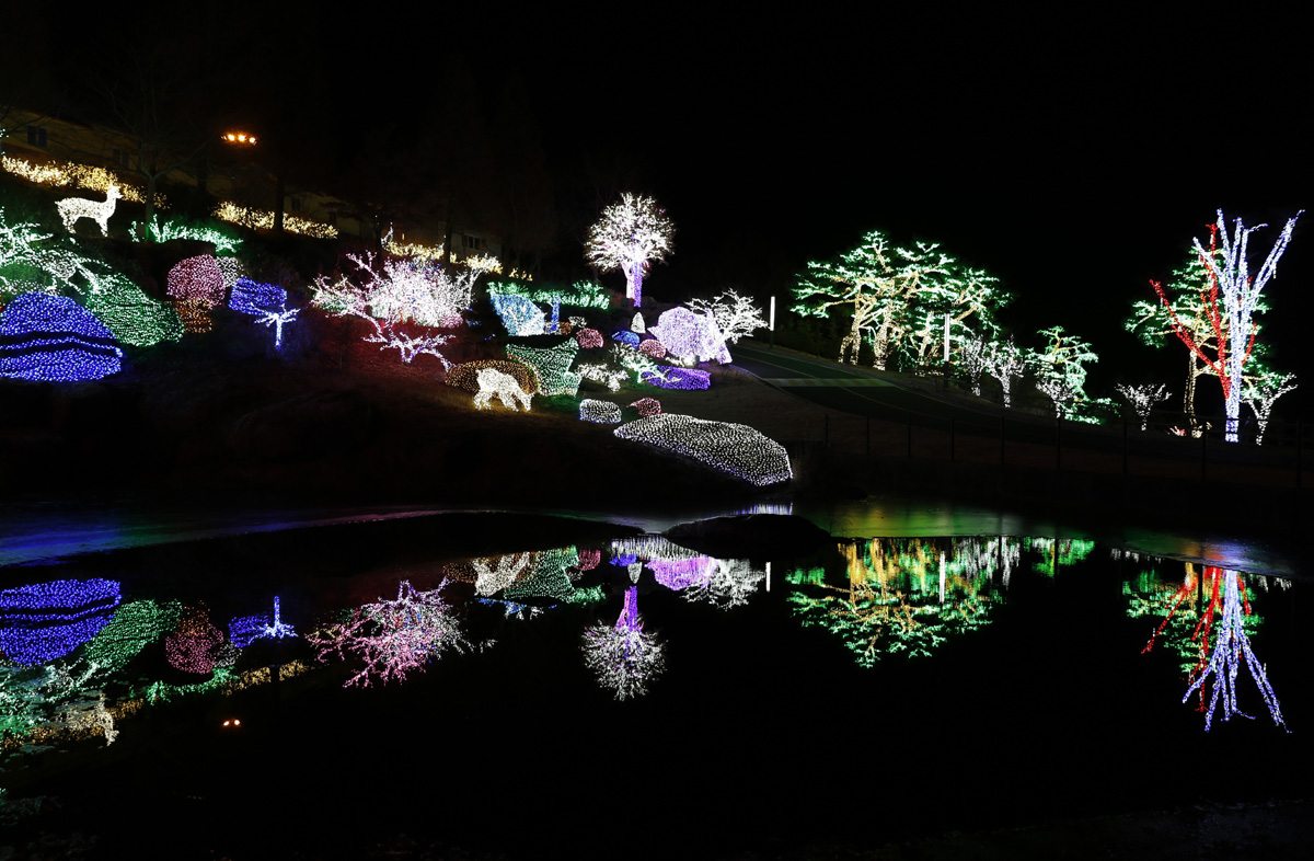  느랭이골의 밤을 황홀경으로 연출하는 불빛들. LED 조명으로 연출된 수채화 풍경이 연못에 반영돼 장관을 이루고 있다.