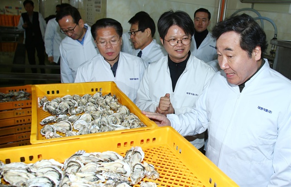 이낙연 국무총리가 13일 오후 굴 양식업체인 통영 (주)대원식품을 방문했다.