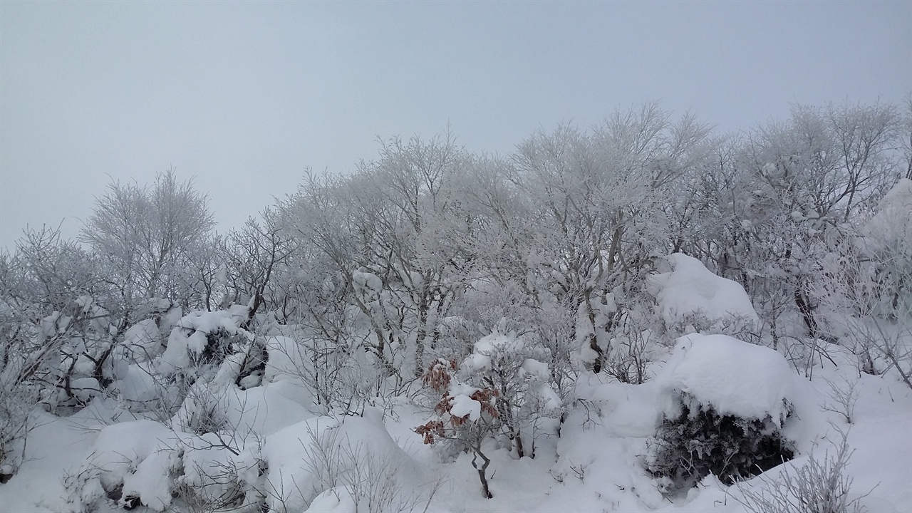 덕유산 대피소에서 바라본 덕유산 겨울 풍광