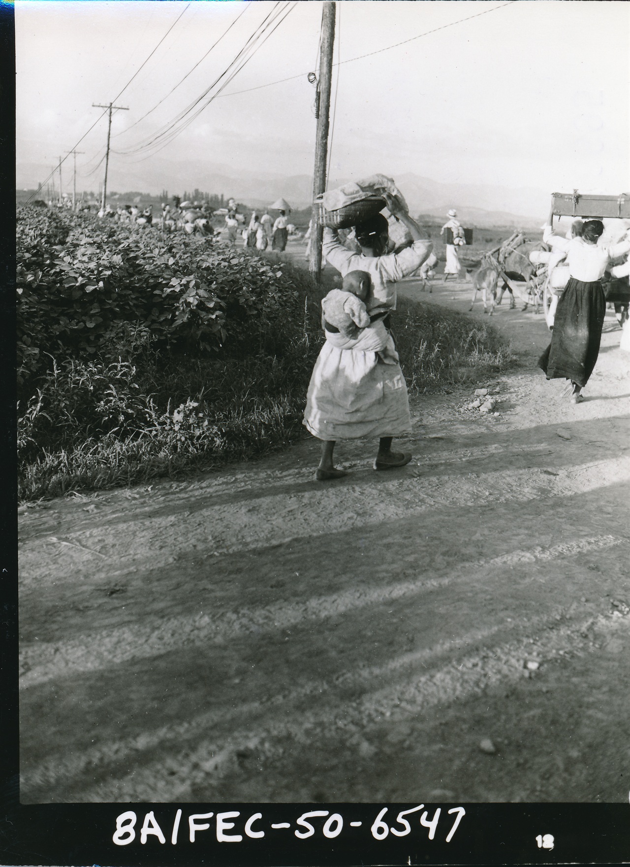 고달픈 피란민 행렬. 대구(1950. 8. 20.).