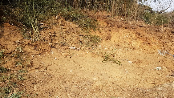 거차리 일대의 야산이 훼손된 현장이다. 