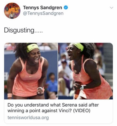  세레나 윌리엄스를 비난한 테니스 샌드그렌의 소셜미디어 갈무리.