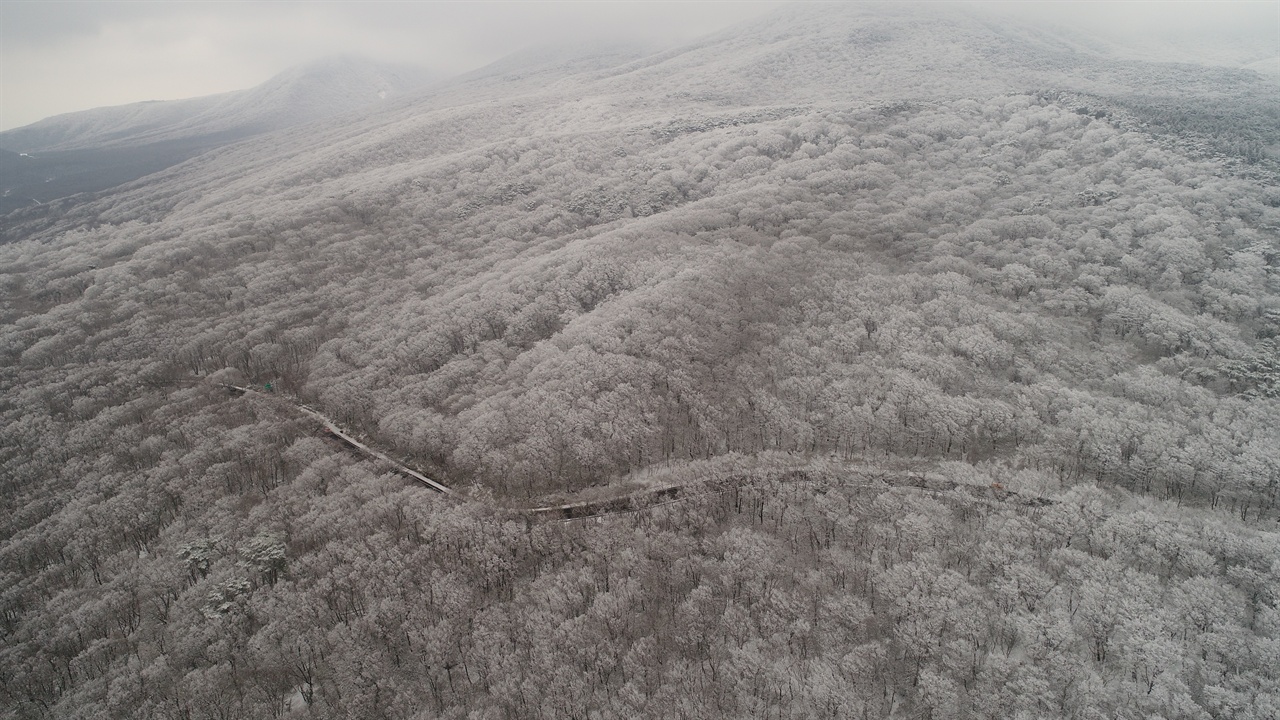 대한민국에서 가장 높은 곳의 1100도로 눈꽃길