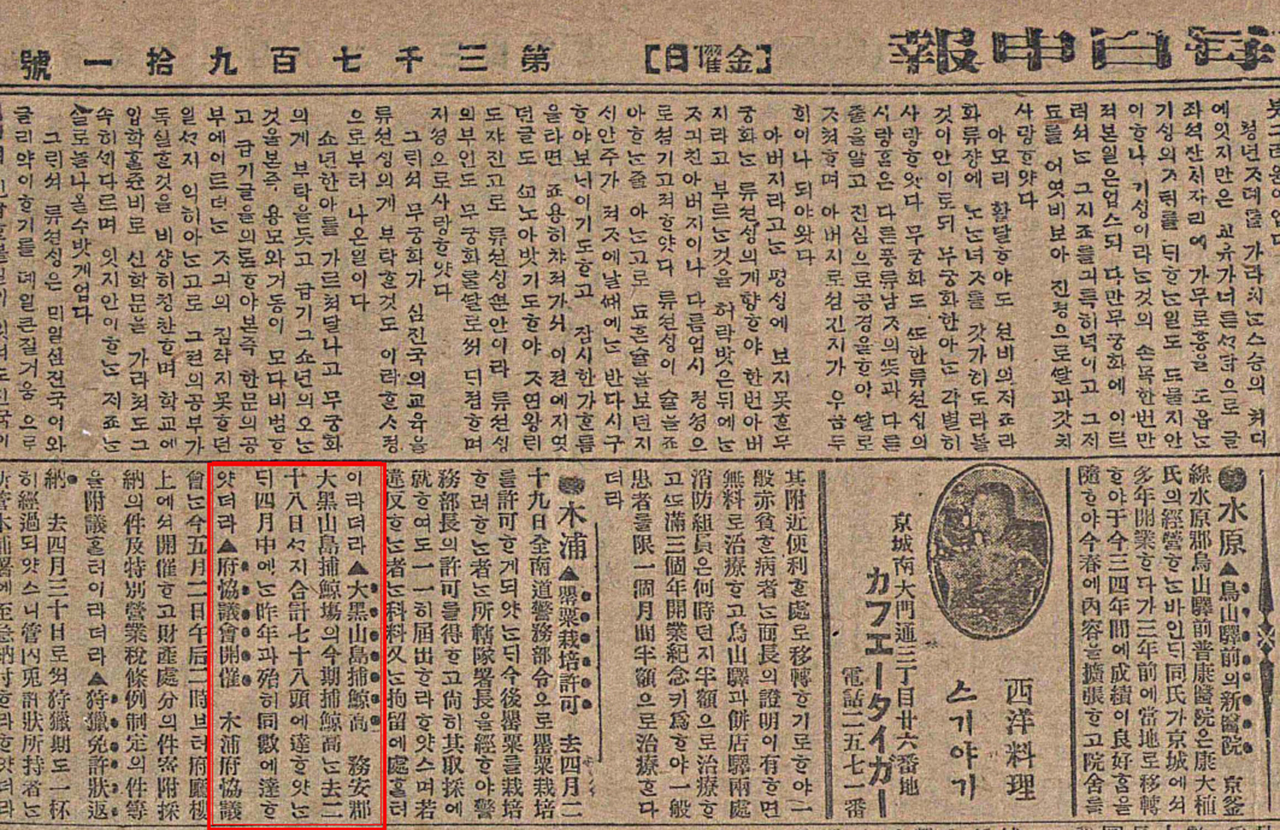  흑산도 포경근거지 관련 기사가 처음으로 등장하는 <매일신보> 1918년 5월 3일자.