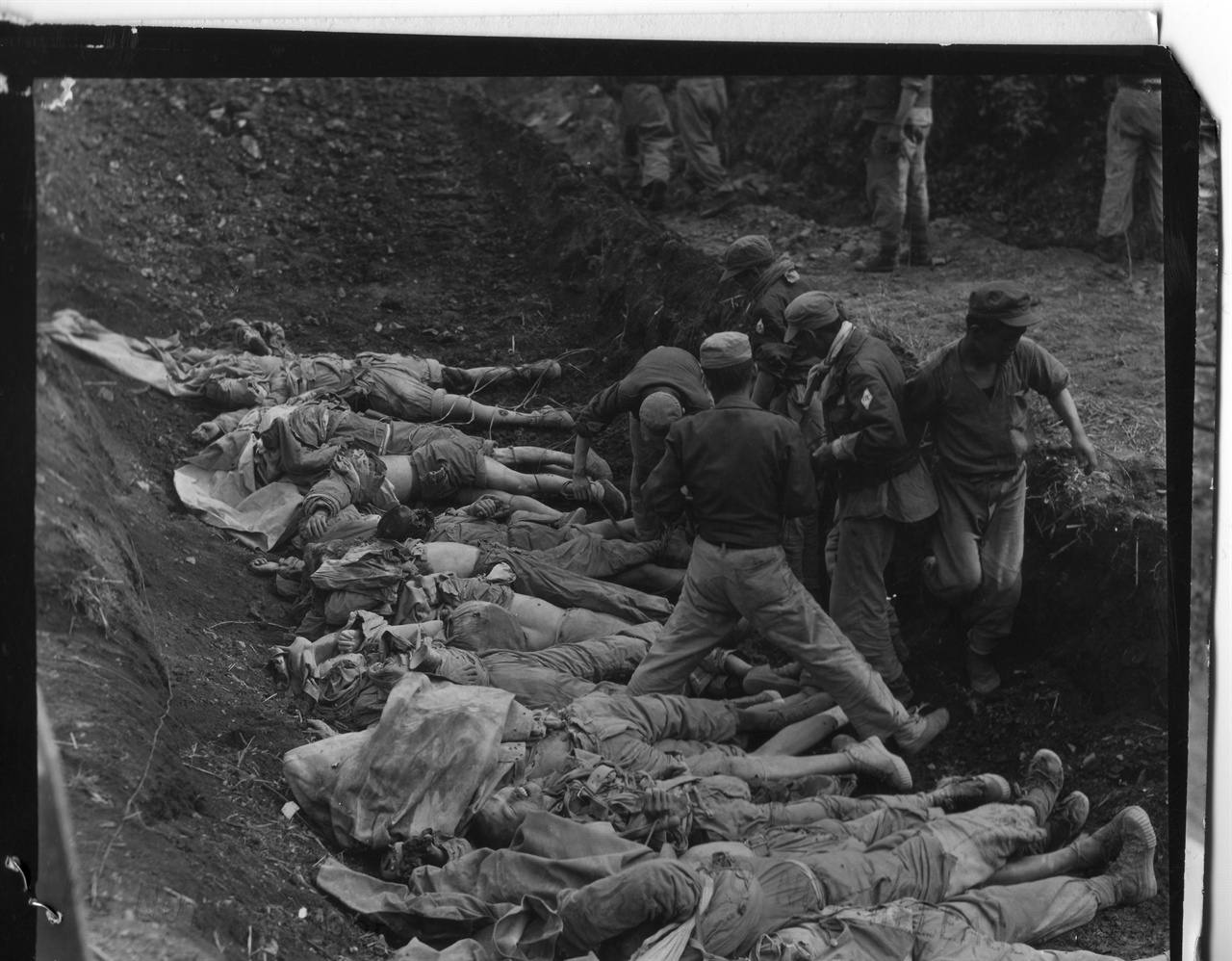 1951. 5. 24. 중국군 시신을 매장하고자 가지런히 눕히고 있다.