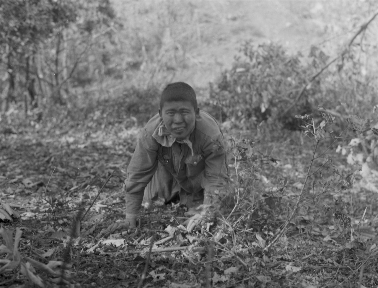 1951. 9. 20. 수플 속에 숨어있던 인민군 한 병사가 총구 앞에 짐승처럼 기어나오면서 투항하고 있다.