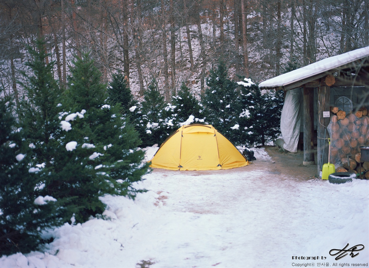 (645N/Portra160)오두막이 한 채 있고 잘 마른 장작들이 쌓여있는, '다목적오두막'. 크리스마스 트리같은 작은 나무들이 바람을 막아주었다.