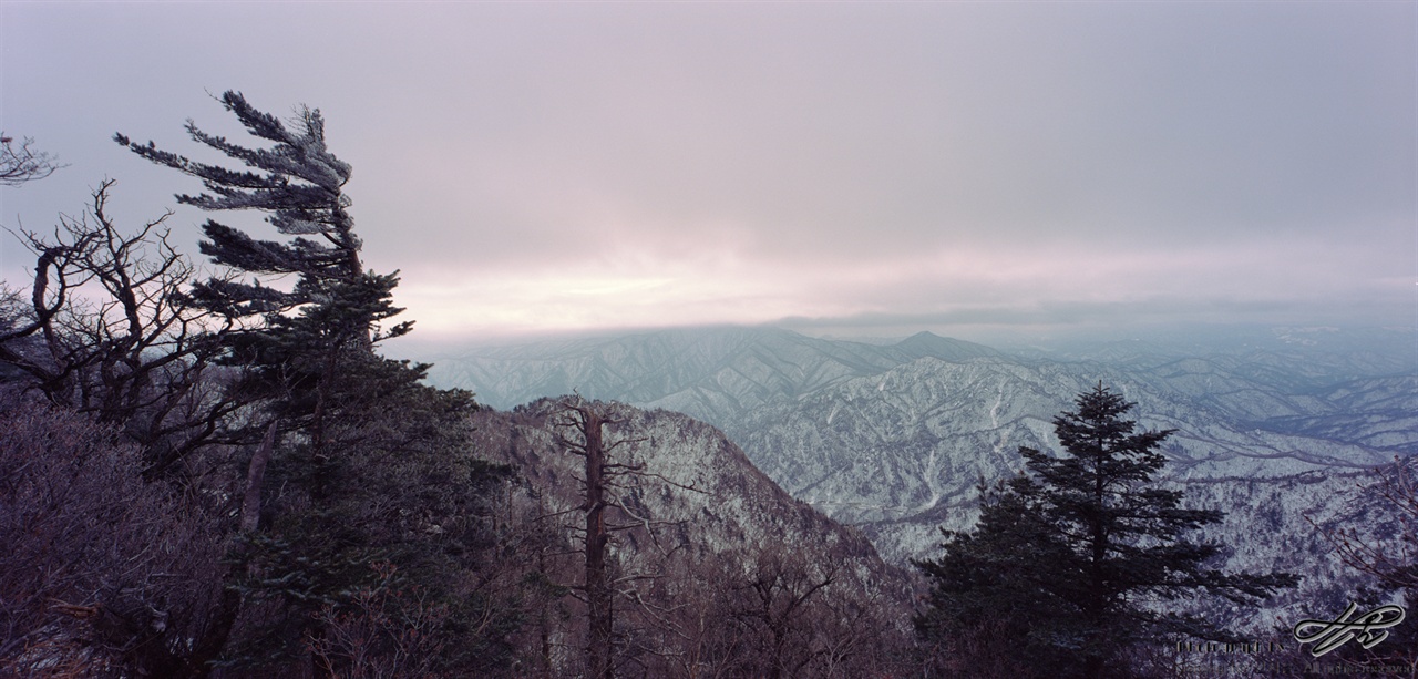 서북능선에서(1)