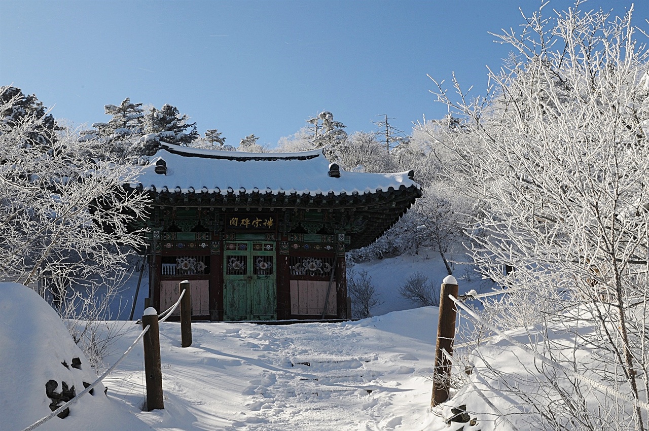 태백산 정상에 오르다보면 단종비를 세운 단종비각을 만날 수 있다. 불우한 왕 단종은 죽어서 태백산의 산신령이 되었다 