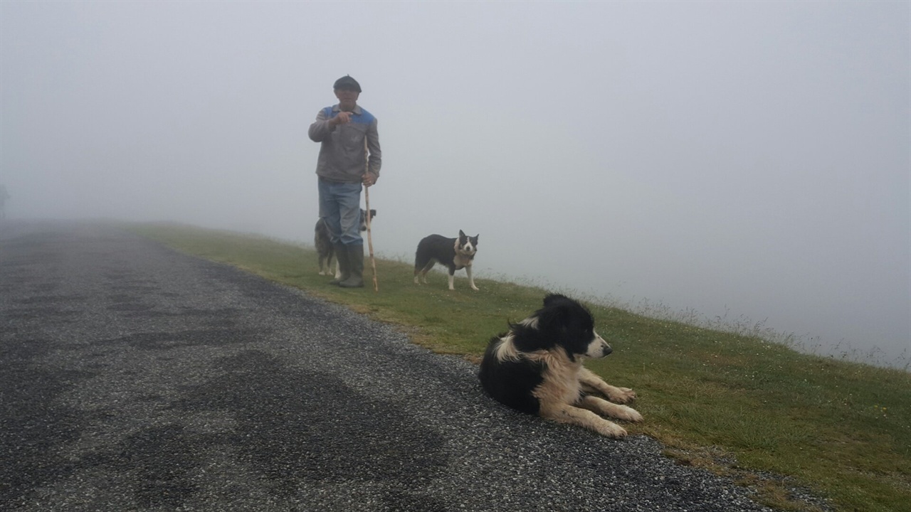 피레네 산맥에서 만난 양치기와 양치기 개 