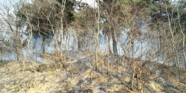 12일 오후 3시경 창원 귀산동 석교마을 인근 야산 화재.