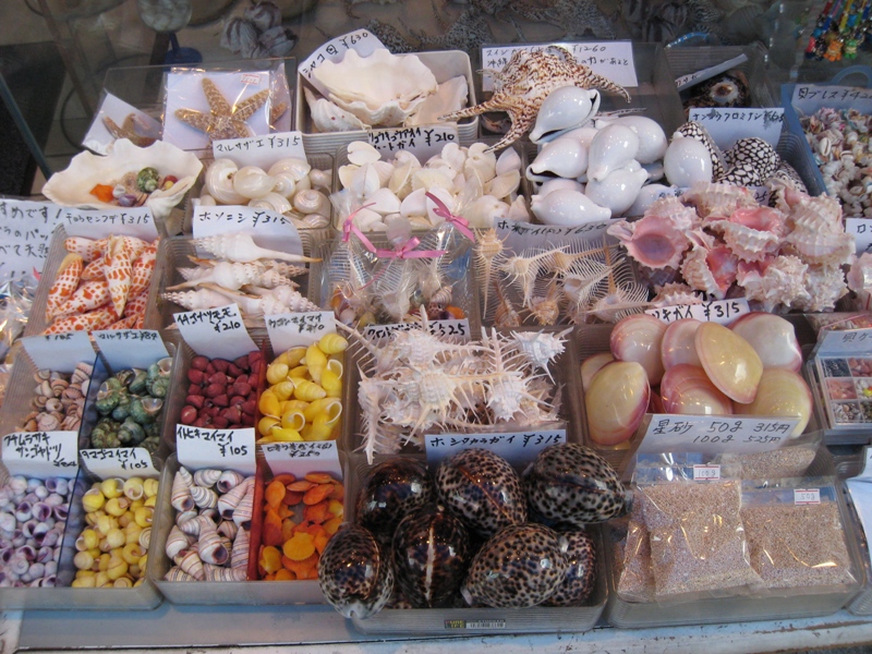 바다가 지척인 오키나와엔 조개껍질로 만든 기념품을 판매하는 가게가 흔하다.