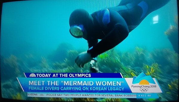미국 시간 2/15 NBC 아침방송 Today Show에서 캡처. 진행자가 직접 바닷속에 들어가 한국의 해녀들을 소개하고 있다.