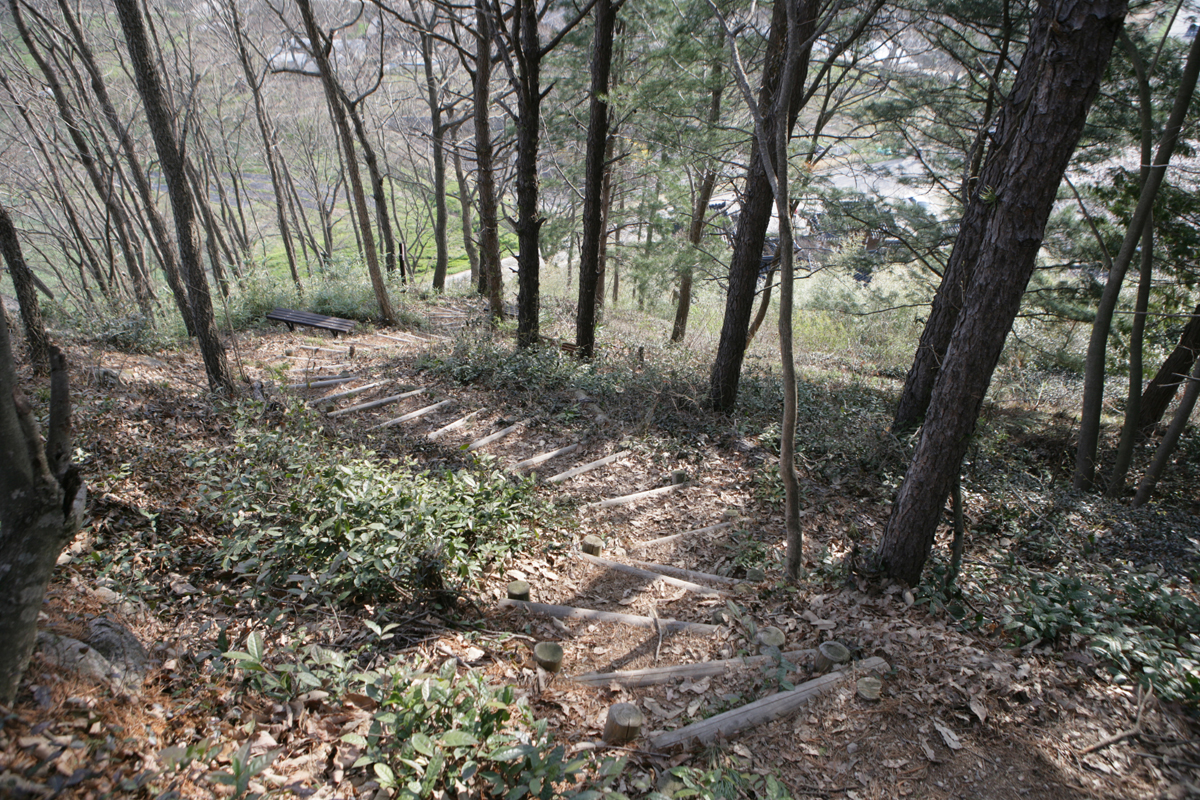 모평마을의 야생 차밭. 산비탈에 고즈넉이 자리한 ‘영양재’ 뒷편 야산이다. 마을주민들의 산책코스로 사랑받고 있다.