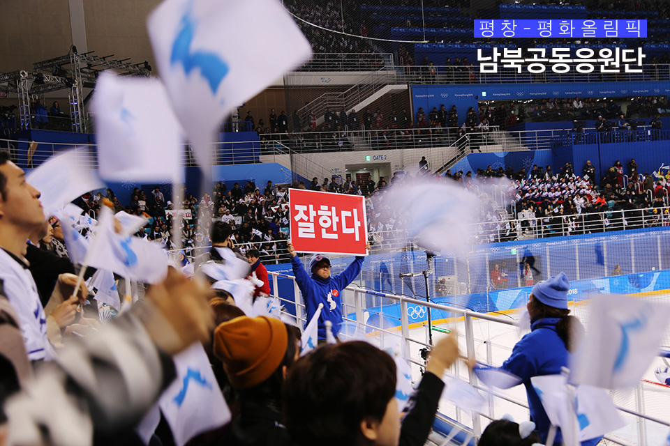 경기중 선수에게 '잘한다' 구호를 외치는 남북공동응원단과 시민들