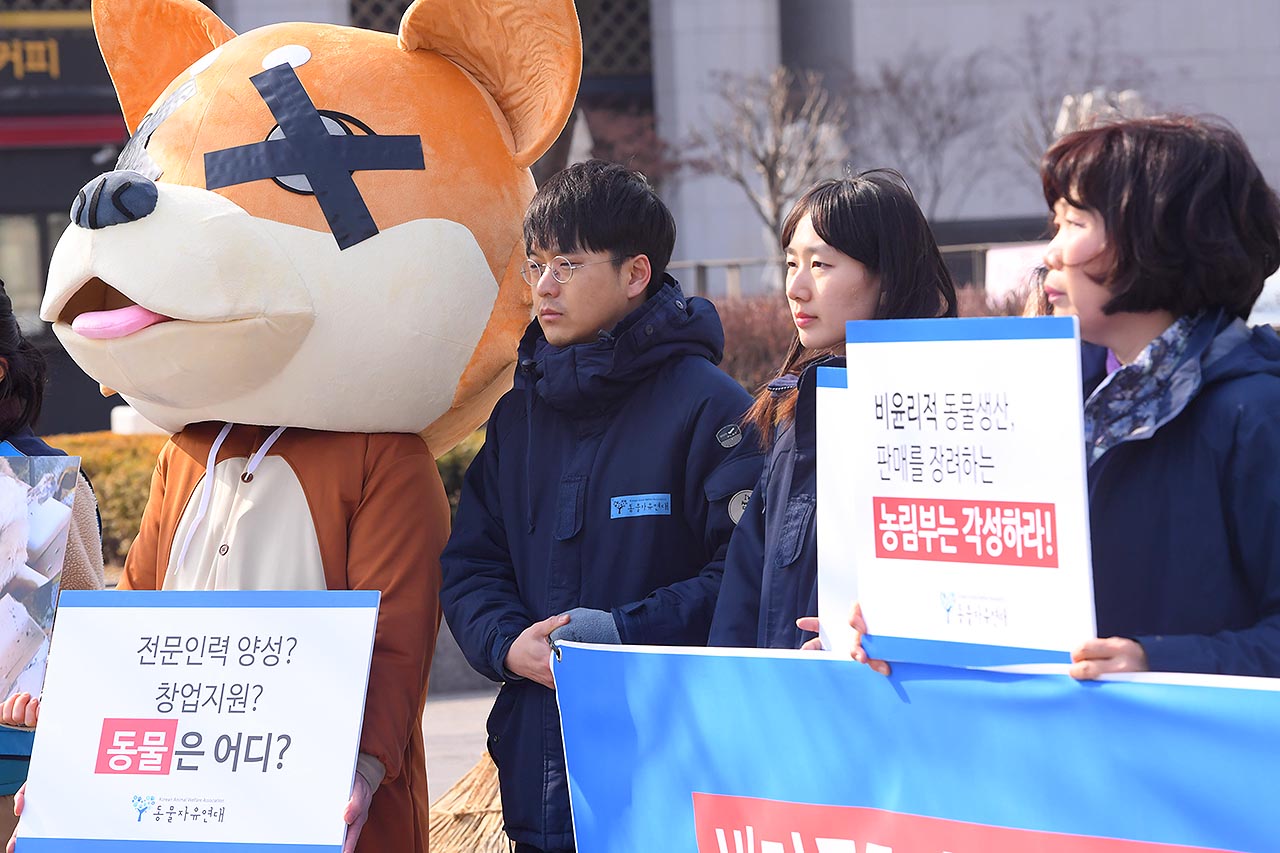 동물자유연대 회원들이 20일 오전 서울시 종로구 세종로공원에서 천안 소재 펫숍에서 79마리의 개를 방치해 죽게 한 사건을 고발하고 정부의 반려동물산업육성법 제정 계획 철회를 요구하는 기자회견을 진행하고 있다. 2018.2.20