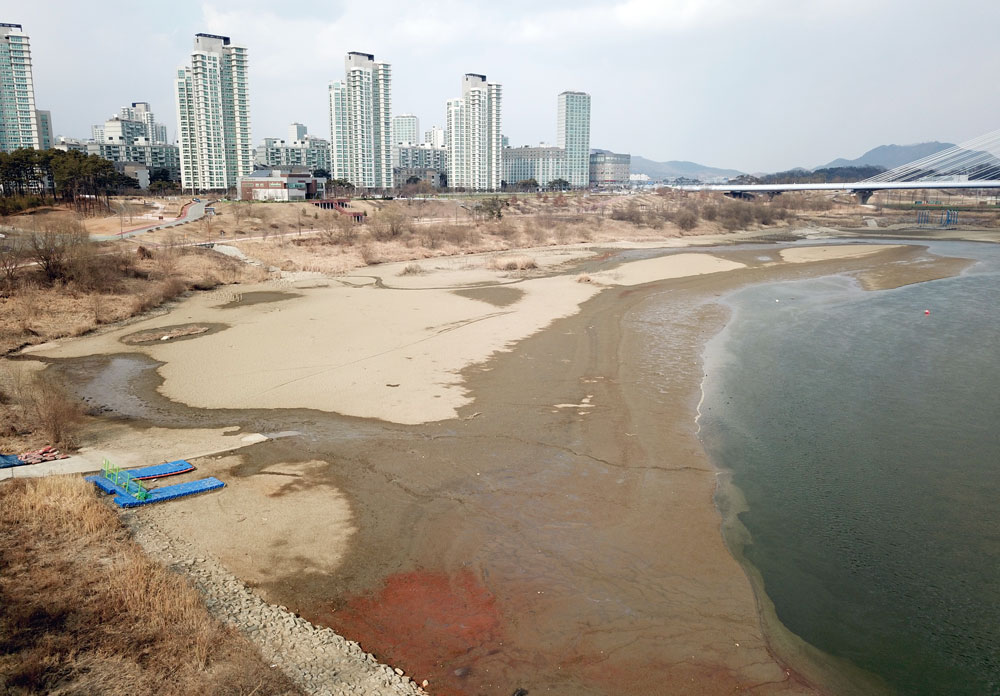  한국수자원공사 세종보 관리사무실 앞에는 시커먼 펄밭이 잔뜩 쌓였다.