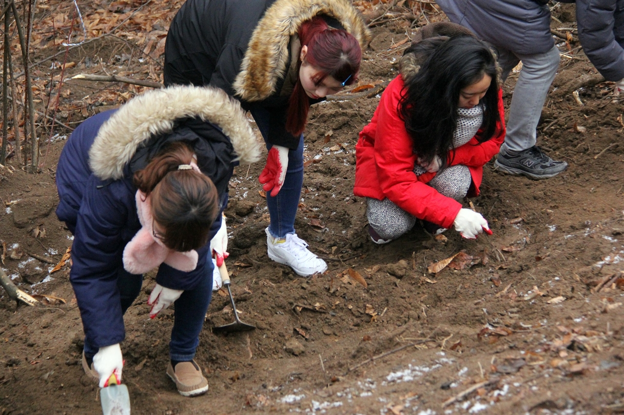 일본 도쿄에 있는 '케이센(惠泉)여학원 대학' 학생 14명이 아산 설화산(아산시 배방읍 중리 산86-1번지 일대) 폐금광에서 유해발굴 작업을 벌이고 있다.
