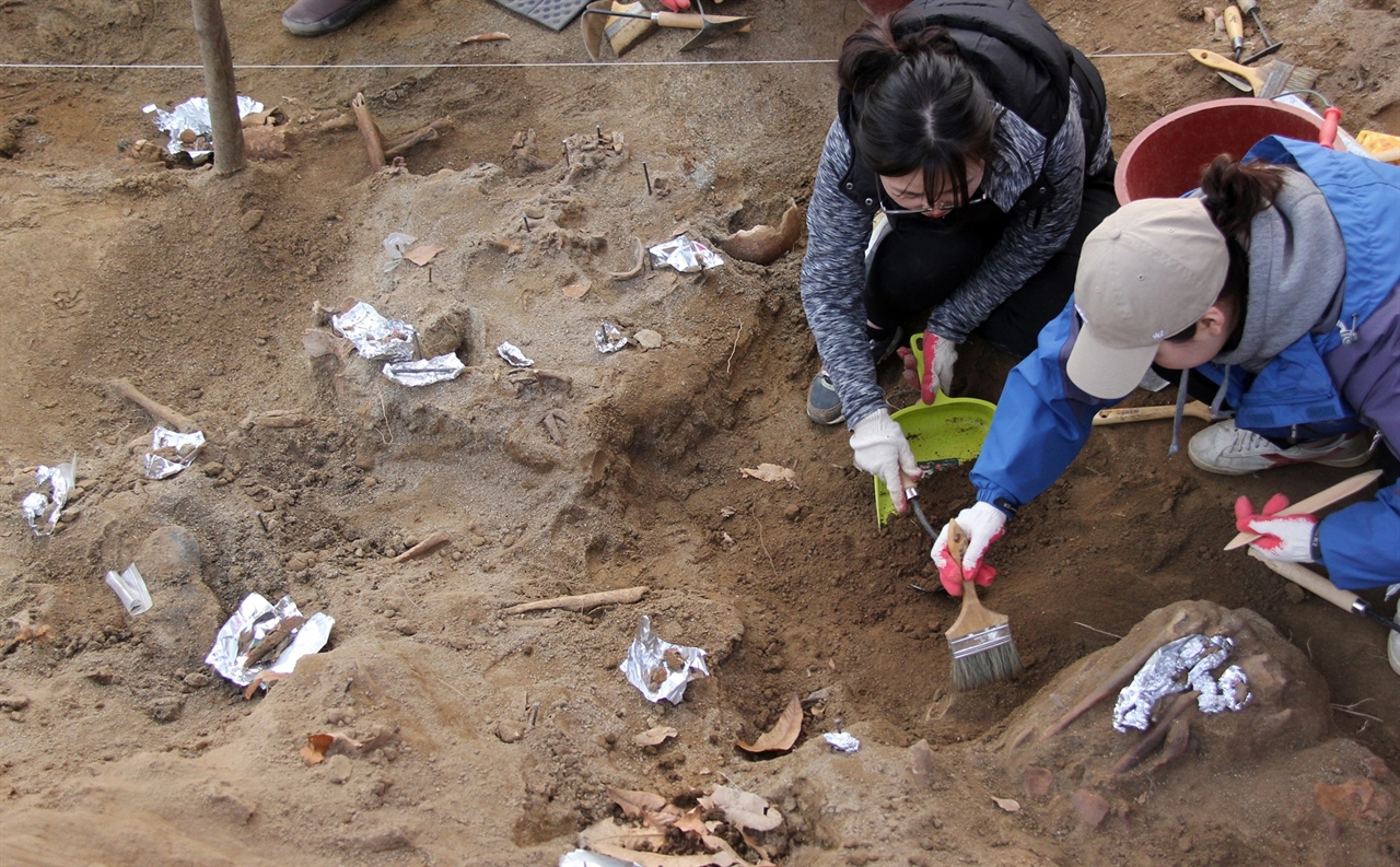 민간인 희생자 유해발굴 때마다 자원봉사 활동을 하고 있는 학생들이 있다. 영남대. 문화인류학과 김소현(오른쪽) ,김나경 학생이 아산 설화산 페금광에서 드러난 유해를 조심스럽게 수습하고 있다.  