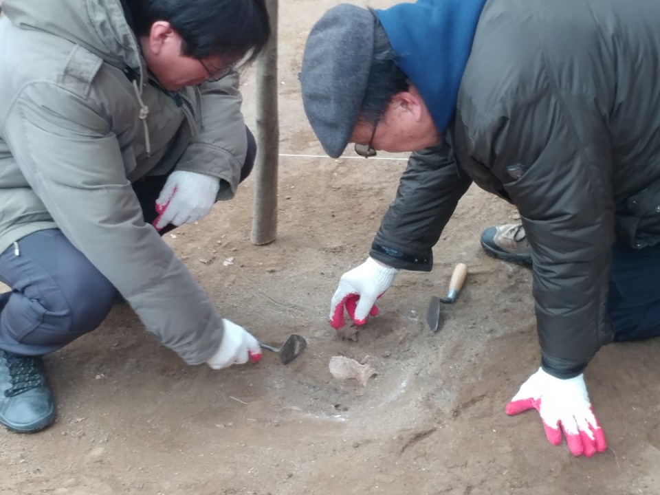 박선주 유해발굴 공동조사단장(오른쪽)과 발굴팀의 노용석 교수(영남대)가 드러난 희생자 유해를 들여다 보고 있다.
