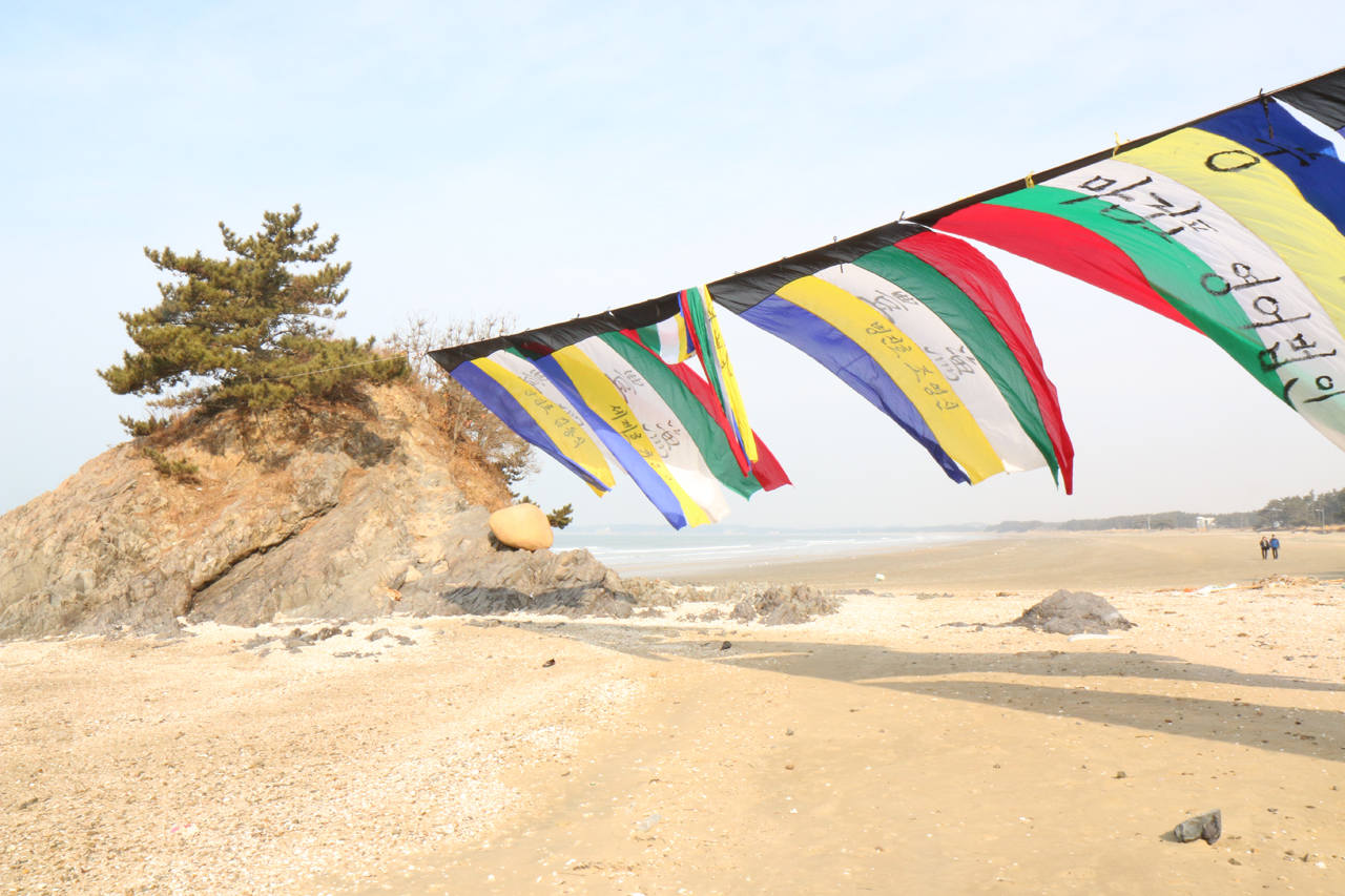 용왕제가 열린 인근 해변에는 자라바위에 연결해 풍어를 비는 어선들의 깃발이 내걸렸다.