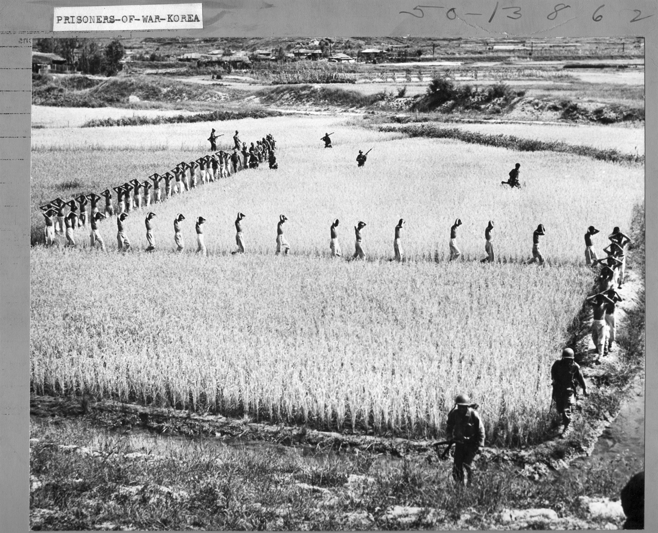 1950. 10. 미 해병대들이 전투 중에 생포한 포로들을 논길로 인솔하고 있다.