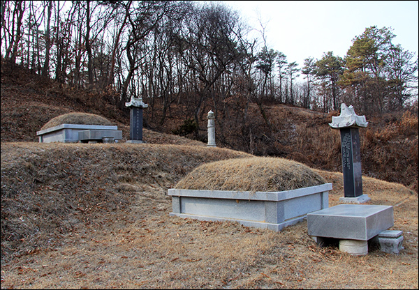 한날 한시에 순국한 최정철 지사 무덤(위) 아래는 아드님 김구응 의사 무덤. 충남 천안시 동남구 병천면 가전리 산 8-6 