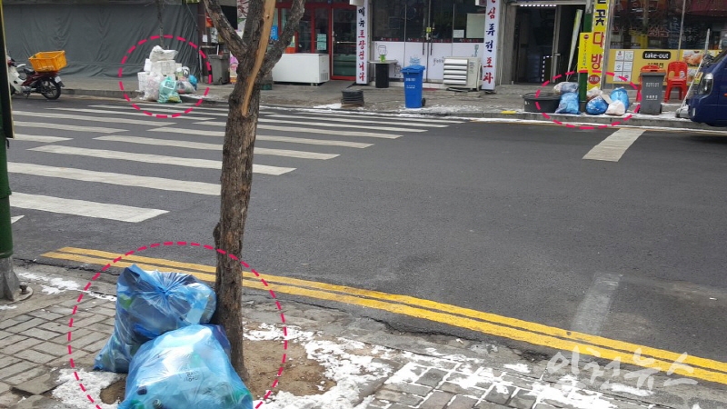 인천 문화예술회관 인근 문화서로 가로수 주변 쓰레기 ⓒ 인천뉴스