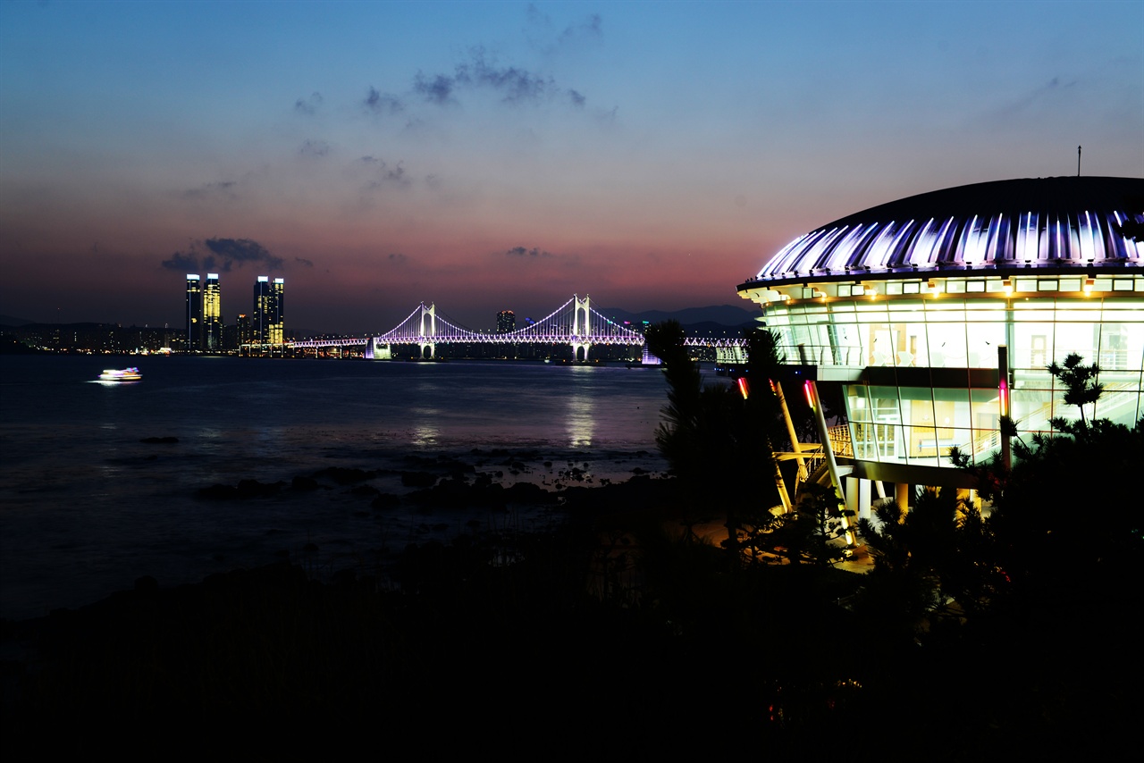 광안대교 동백섬에서 바라보는 광안대교, 누리마루도 보인다. 갈매기가 하얗게 앉았다가 떼지어 날아가는 모습이 노을과 조화를 이룬다.