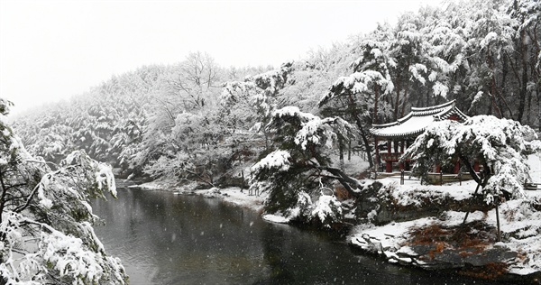  8일 거창 수승대.