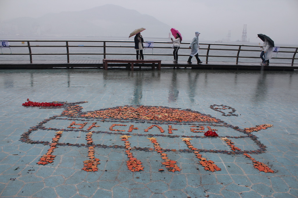 사단법인 해양구조협회 여수구조대는 오는 4월 15일 지구의 날을 맞아 제3회 불가사리 대축제를 앞두고 있다. 불가사리로 만든 거북선의 모습
