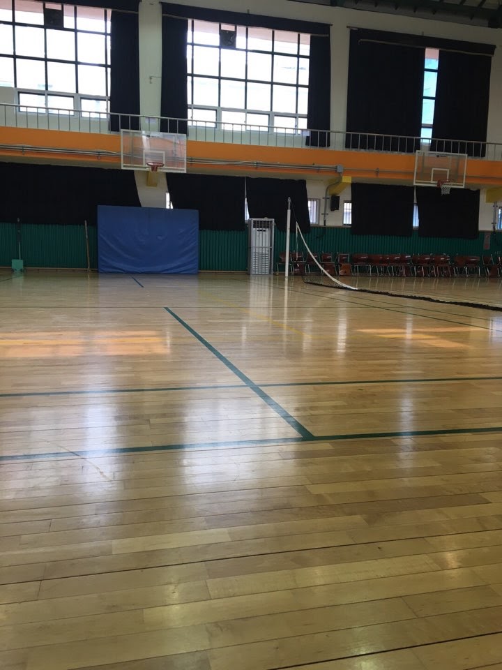  배구를 하던 장소, 서울 소재의 초등학교