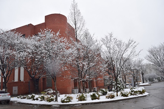 3월 21일 폭설로 캠퍼스 나무들이 눈꽃을 연출한다. 