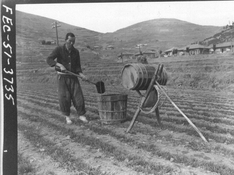 1951. 1. 25. 보리밭에 분뇨를 거름으로 주는 농사꾼.