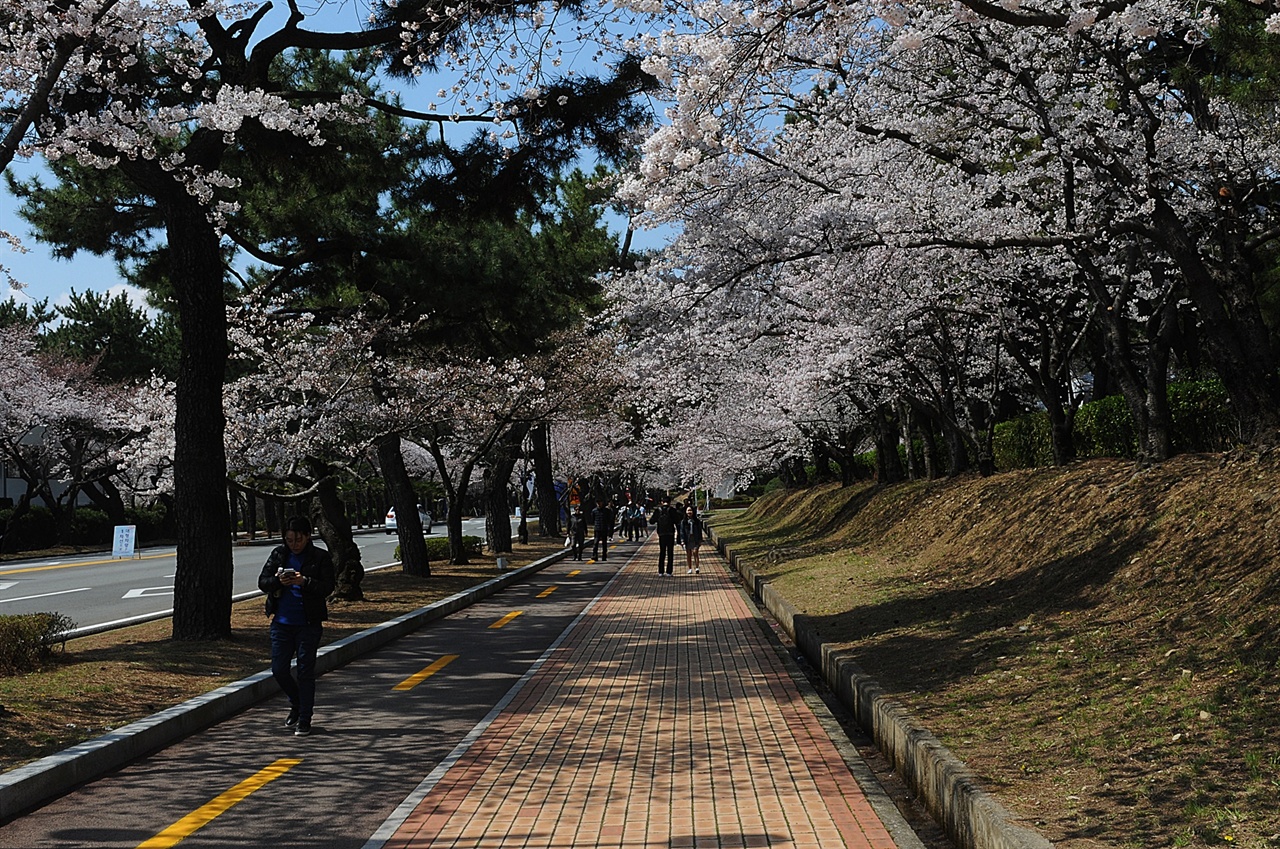 평상시에는 출입이 금지되지만, 군항제 기간에는 오픈된다. 하지만 정해진 길로만 다녀야 하고 사진 촬영도 일부 제한된다. 