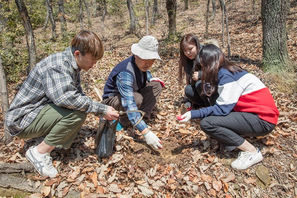  경남과학기술대 강호철 교수가 진주 비봉산에 차나무를 파종하고 있다.