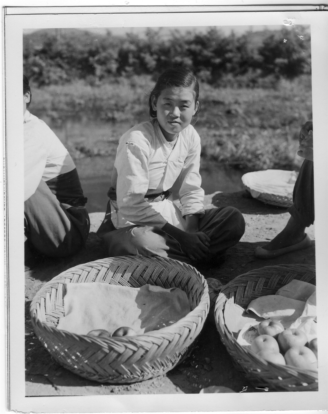 1952.10. 2. 문산, 한 여인이 노점에서 과일을 팔고 있다.
