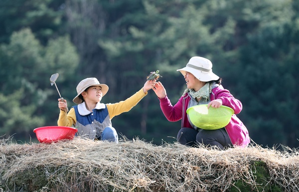  함양군 마천면 창원마을의 봄나물 캐기.