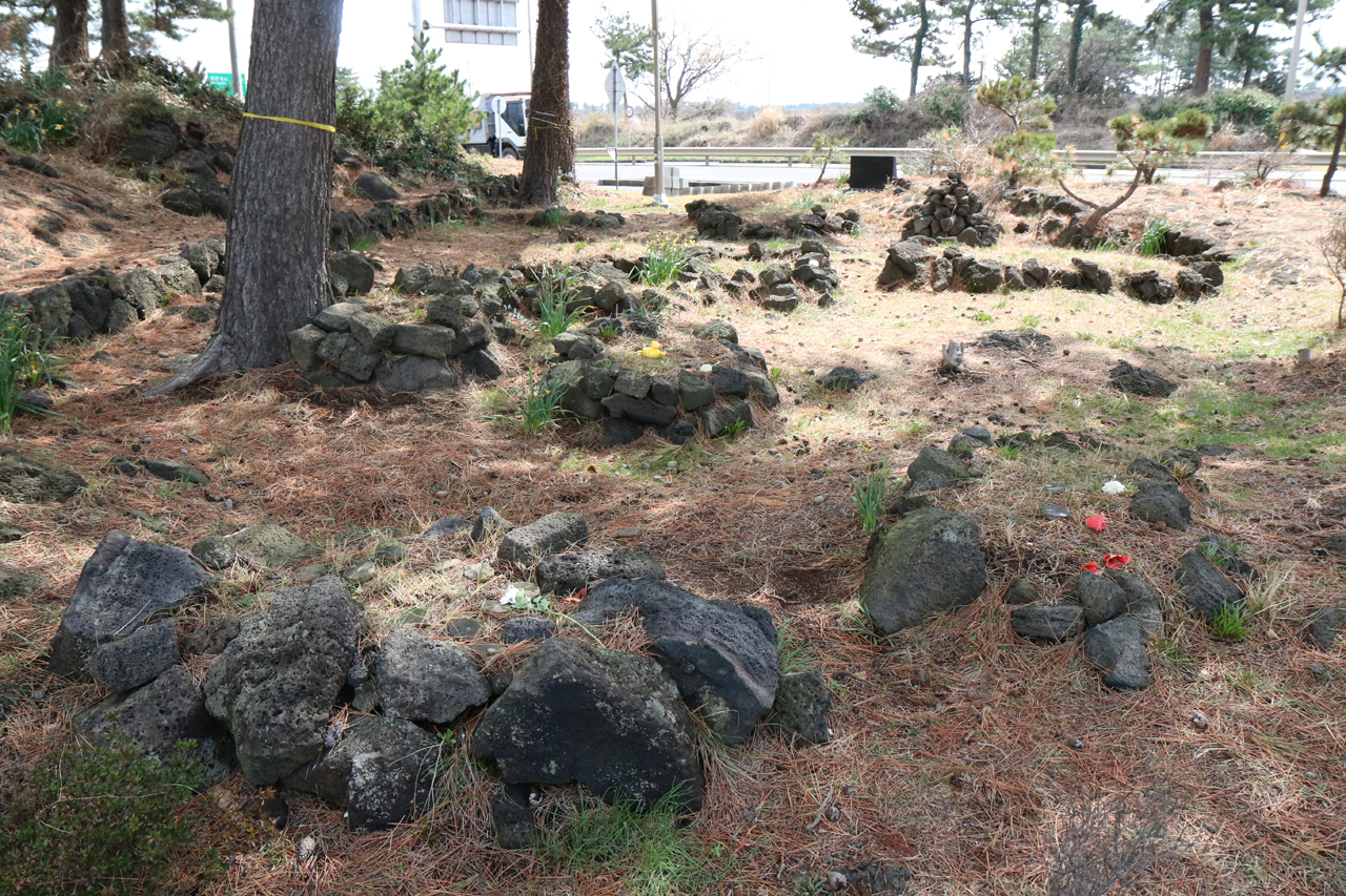 4.3당시 희생됐던 애기들의 무덤이 있다. 이곳은 효리민박에 방송된 이후 추모를 하려는 추모객들의 발길이 이어지고 있다. 애기무덤 위에는 추모객들이 놓고 간 인형과 꽃이 놓여져 있다.