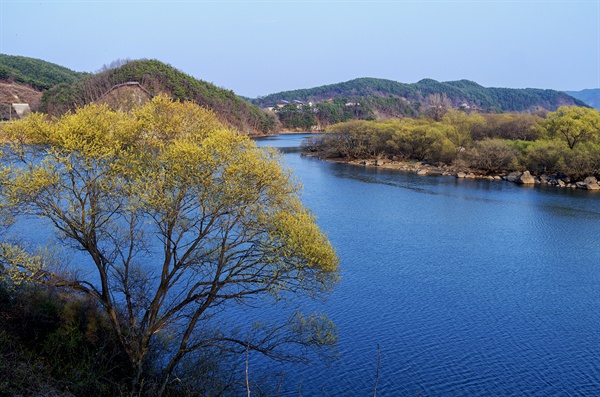 합천 황강의 봄.