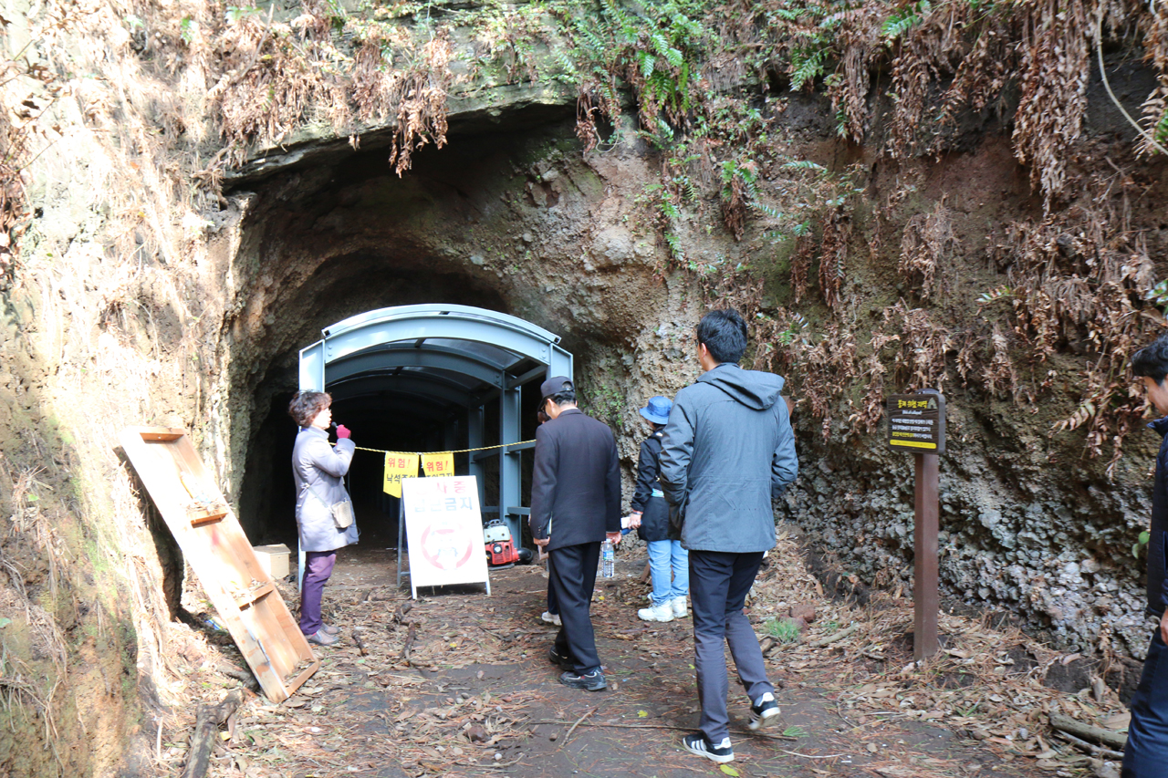 해설사에 따르면 섯알오름 후면에 위치해 있는 일제 동굴진지는 식량 보관용으로 팠을 것으로 추정하고 있다. 붕괴위험이 있어 안전 시설물을 설치해놓았다.